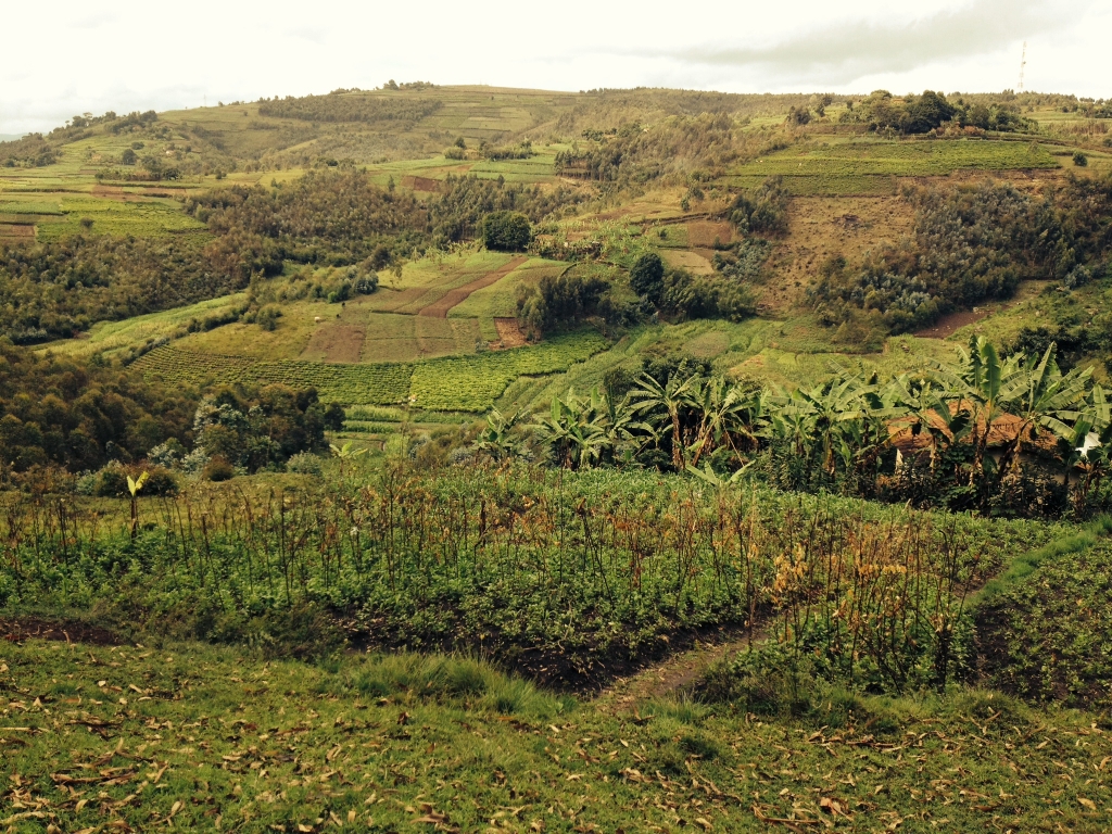 lands